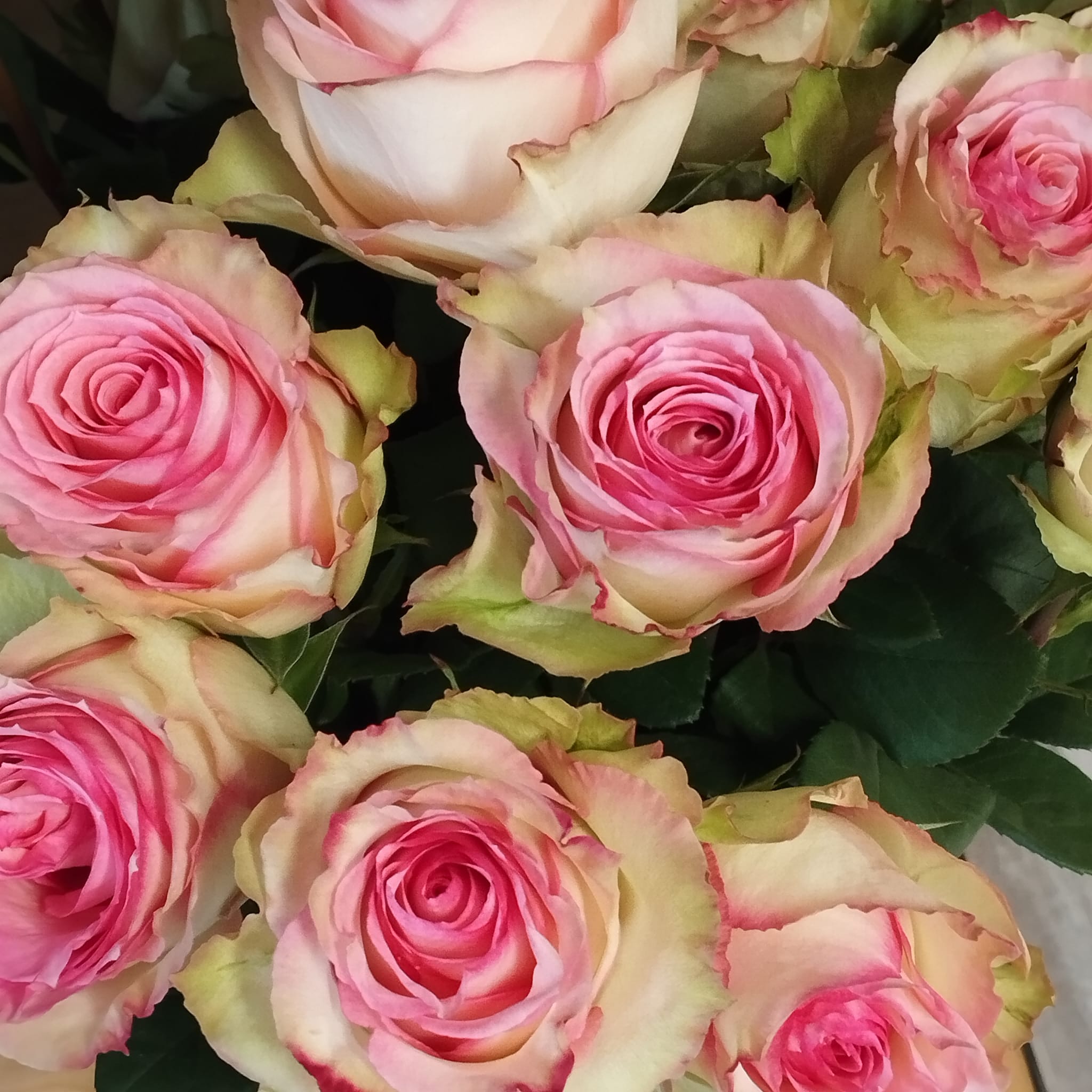 Bouquet de roses Rose