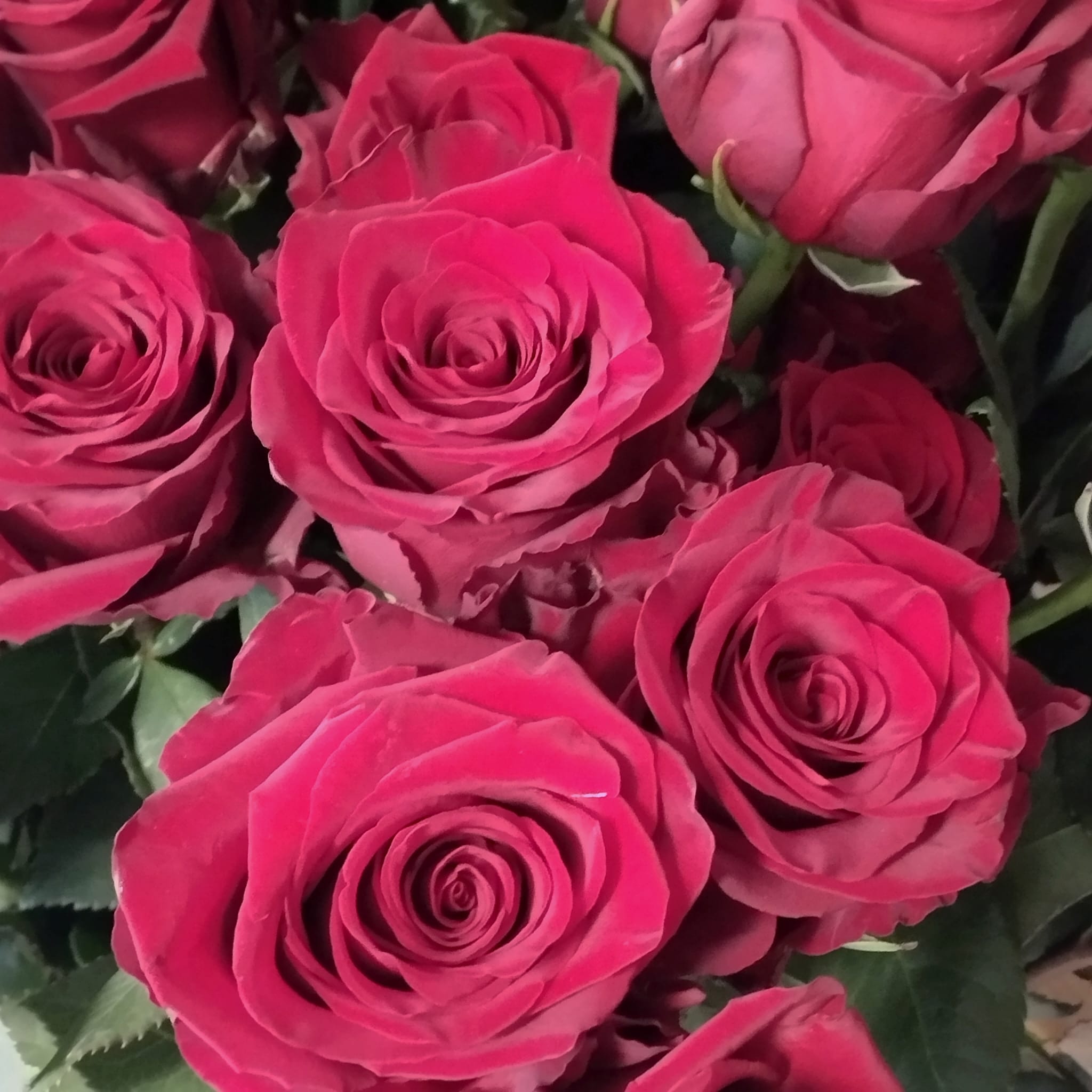 Bouquet de roses Rouge