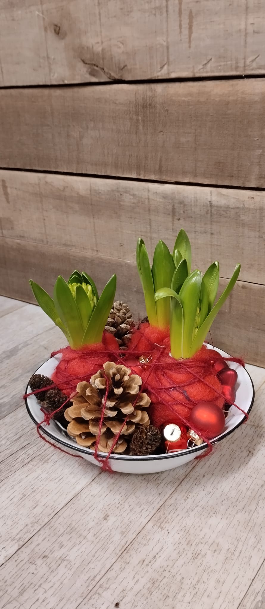 Composition Jacinthes Noël